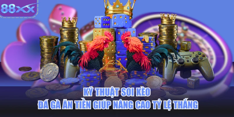 Kỹ thuật soi kèo đá gà ăn tiền giúp nâng cao tỷ lệ thắng