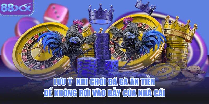 Lưu ý khi chơi đá gà ăn tiền để không rơi vào bẫy của nhà cái 