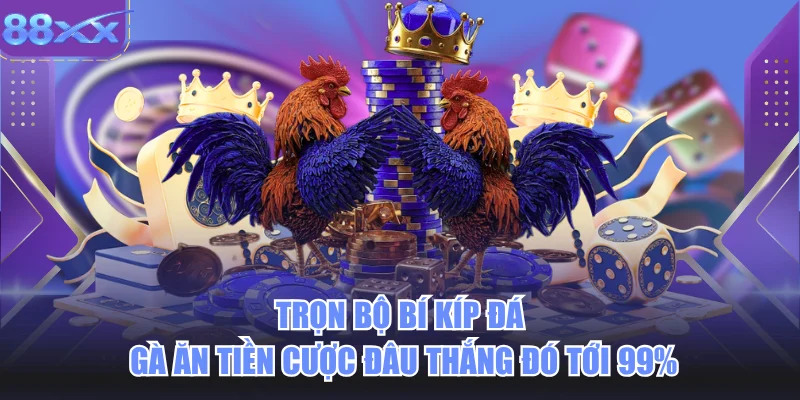 Trọn Bộ Bí Kíp Đá Gà Ăn Tiền Cược Đâu Thắng Đó Tới 99%